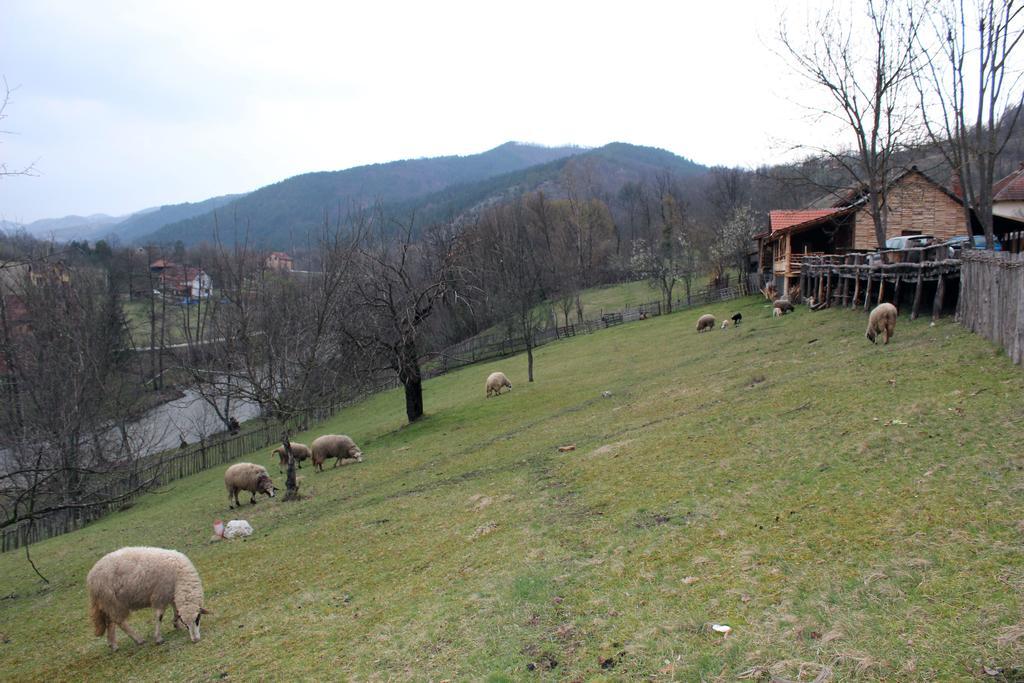 Ethno Village Bogut Bogutovac Exterior photo